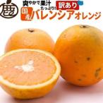 バレンシアオレンジ 訳あり 5kg