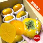 たねなし柿 訳あり 10kg