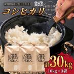 石井農園 コシヒカリ
