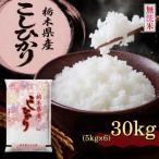 コシヒカリ30kg 5kg×6袋