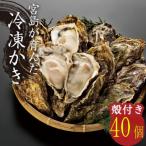 宮島が育んだ冷凍牡蠣 殻付き 40ヶ入