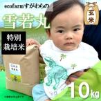 ecofarmすがわらの特別栽培米雪若丸10kg
