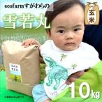 ecofarmすがわらの庄内米雪若丸10kg