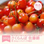 2027年 さくらんぼ 佐藤錦 秀品 L玉 約350g×1