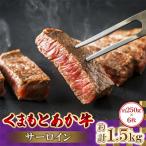 くまもと あか牛 サーロイン 1.5kg