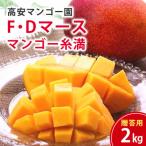 でーじマンゴーアップルマンゴー2kg