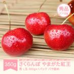さくらんぼ 佐藤錦 秀品 350g×1