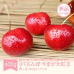 さくらんぼ 佐藤錦 秀品 400g×1
