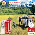 令和7年産 佐渡島産 新之助 白米4kg 土屋農園