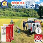 佐渡島産新之助 白米10Kg 5Kg×2袋
