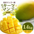 おばぁーのマンゴー畑で育てた キーツマンゴー