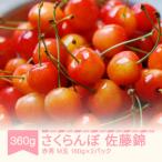 さくらんぼ 佐藤錦 赤秀 M玉 180g×2