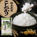 コシヒカリ 30kg