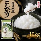 コシヒカリ10kg 5kg×2袋