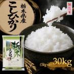 産コシヒカリ 無洗米 30kg