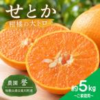 せとか 約5kg