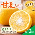 パック入り甘夏 10kg