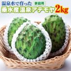 B2-22146 垂水産温泉アテモヤ 2kg