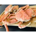 美味網走かにやのお勧め生冷オオズワイ蟹約1kg×3袋