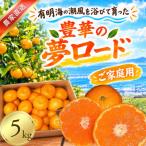 こだわりみかん 5kg