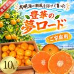 こだわりみかん 10kg