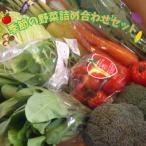 安全 安心 福島の恵み 季節の野菜詰め合わせ