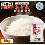 多古米コシヒカリ 精米5kg 5kg×1袋