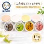 久保田食品 アイスセット C 12個