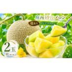 菅原農園の庄内砂丘アンデスメロン 4L