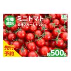 オーガニック高糖度ミニトマト500g