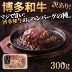博多和牛ハンバーグの種訳あり 300g
