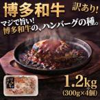博多和牛ハンバーグの種訳あり 1.2kg