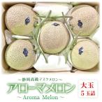 アローマメロン 白等級 大玉 5玉詰