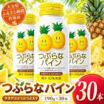 つぶらなパイン 190g×30本