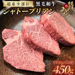 希少部位 シャトーブリアン ステーキ 450g