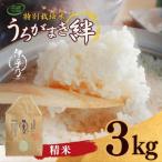 令和8年産 新米 魚沼産コシヒカリ 特別栽培米