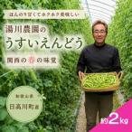 大粒でほんのり甘い うすいえんどう 約2kg