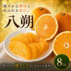 大人の柑橘 8kg