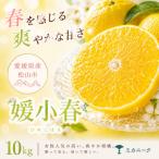 驚きの甘さ 10kg