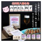 八雲名物 八雲だし餃子 10個入×4箱