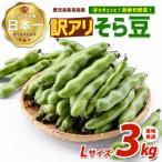 新鮮旬野菜 そら豆Lサイズ 約3kg