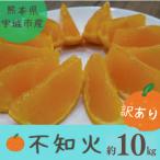 不知火 10kg