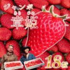 18粒×2パック