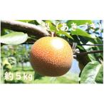 梨 あきづき 約5kg