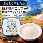 産こしひかり 炊きたてパックご飯 便利でおいしい12個セット