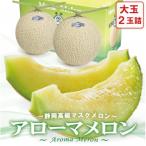アローマメロン 白等級 大玉 2玉詰