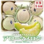 アローマメロン 白等級 大玉 5玉詰