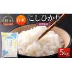 米 コシヒカリ 白米 5kg