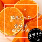 完熟ハウス 福まどんな 愛媛 西宇和産