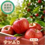 サンふじ りんご 3kg